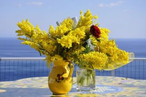 8 marzo festa della Donna
